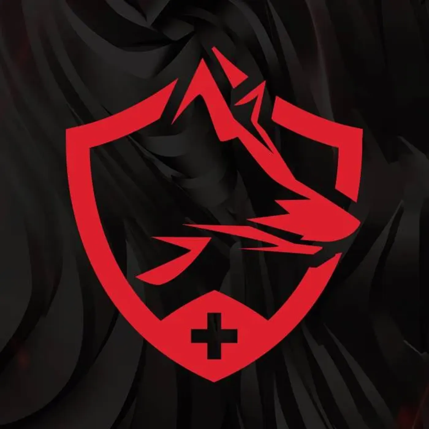 IronWolf Health Management logo and monitoring interface graphic