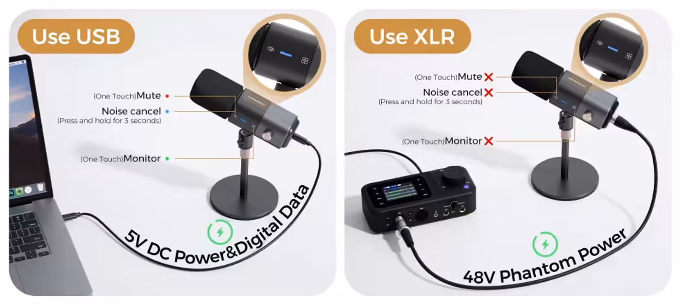 Dual connectivity options showing USB-C digital features versus XLR analog signal capabilities