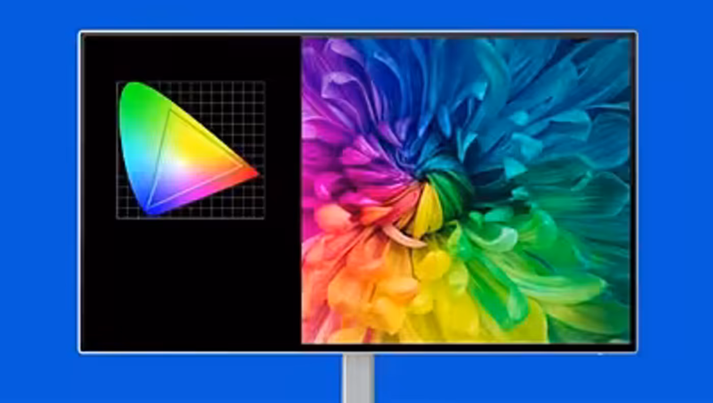 Vibrant and accurate color display meeting professional color standards