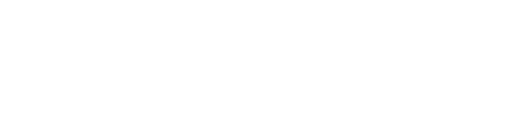 Neat Skyline Logo