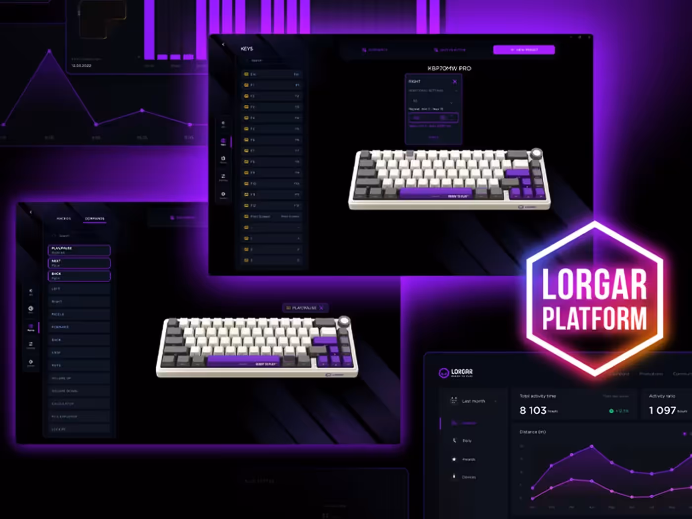 LORGAR PLATFORM software interface