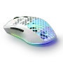steelseries-aerox-3-wireless-rgb-gaming-mouse-snow-2000px-v0005.webp