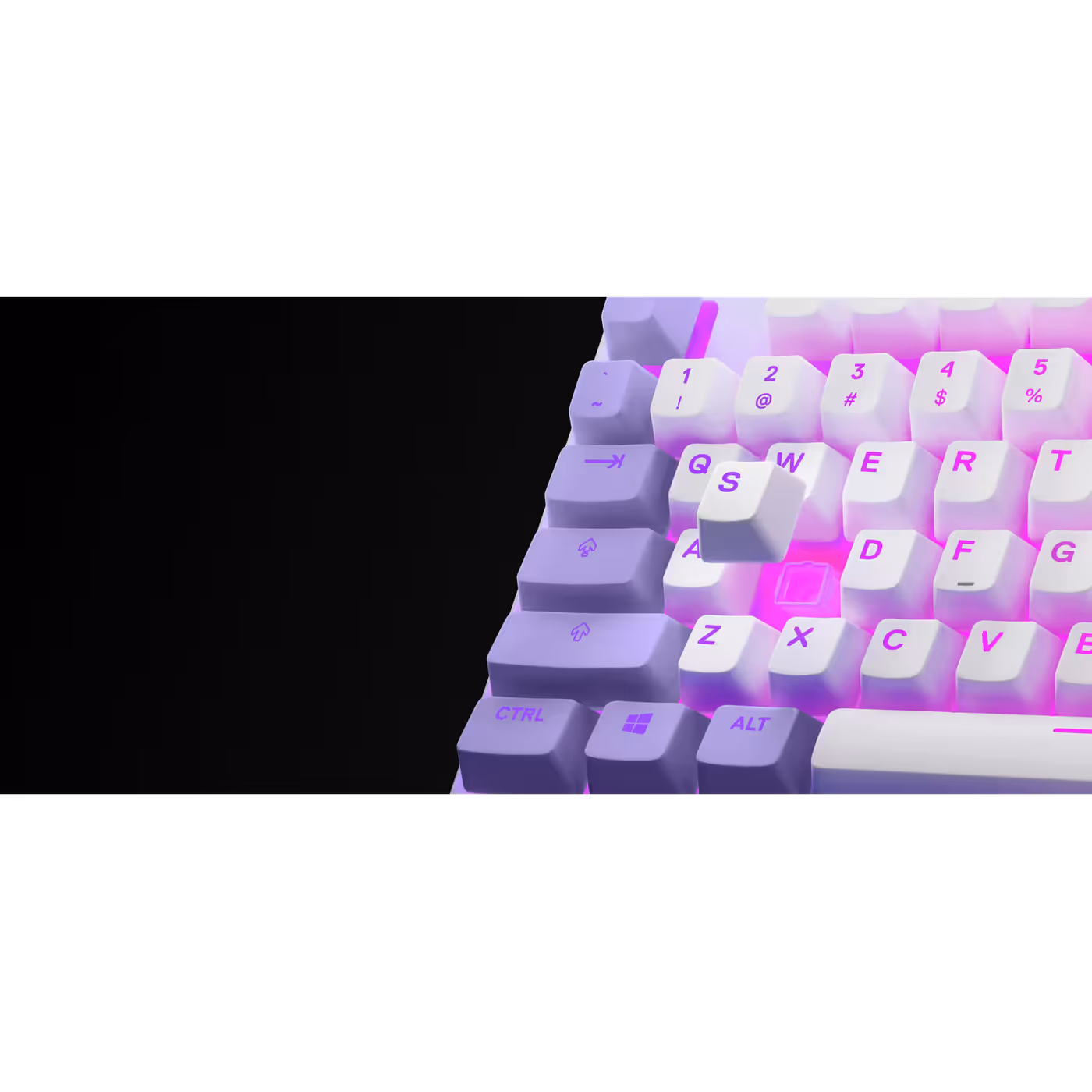 Keycap lifted on the Apex 3 TKL Amethyst to show the Whisper-Quiet switch