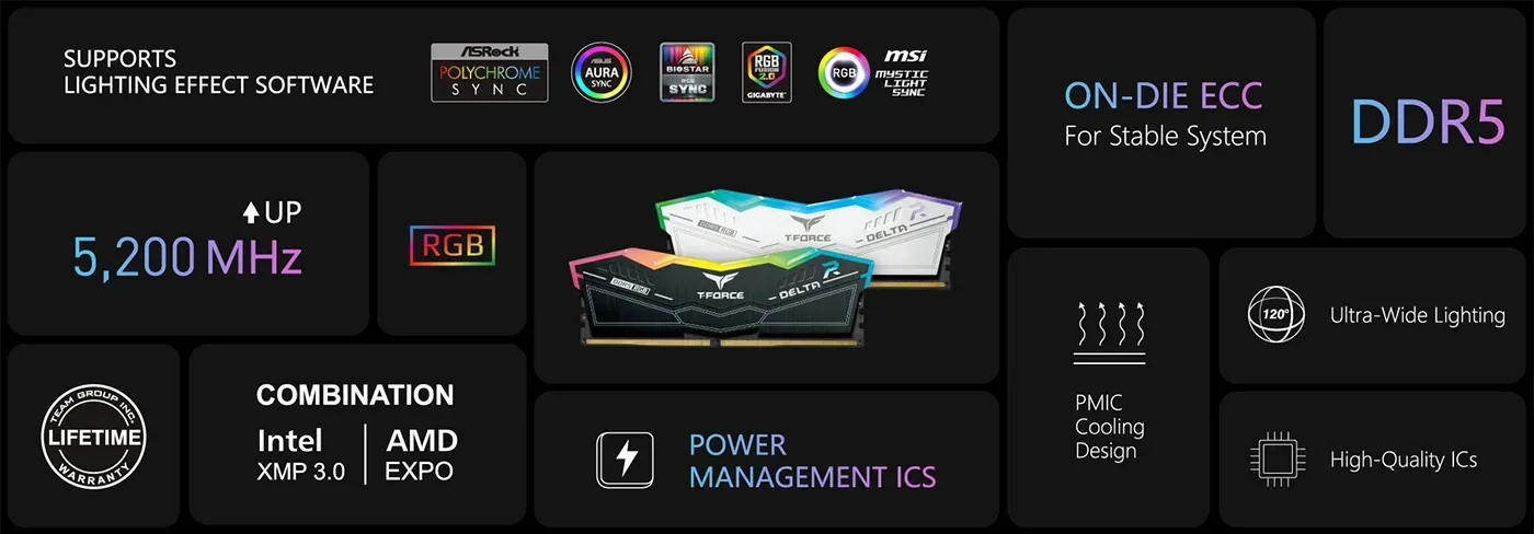The two black 24GB T-Force DELTA RGB DDR5 modules supplied in the 48GB kit