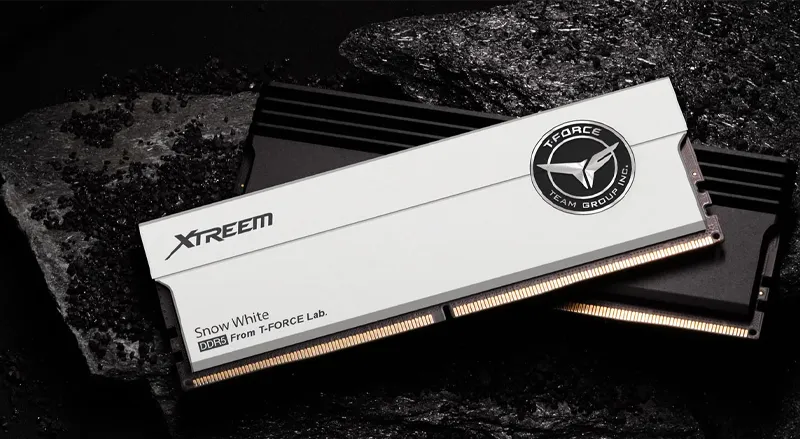Teamgroup T-Force XTREEM 32GB (2x16GB) DDR5-8000 CL38 Memory | Evetech