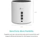 tp-link-archer-tx50e-ax3000-wi-fi-6-pcie-adapter-2000px-v1-0004.webp