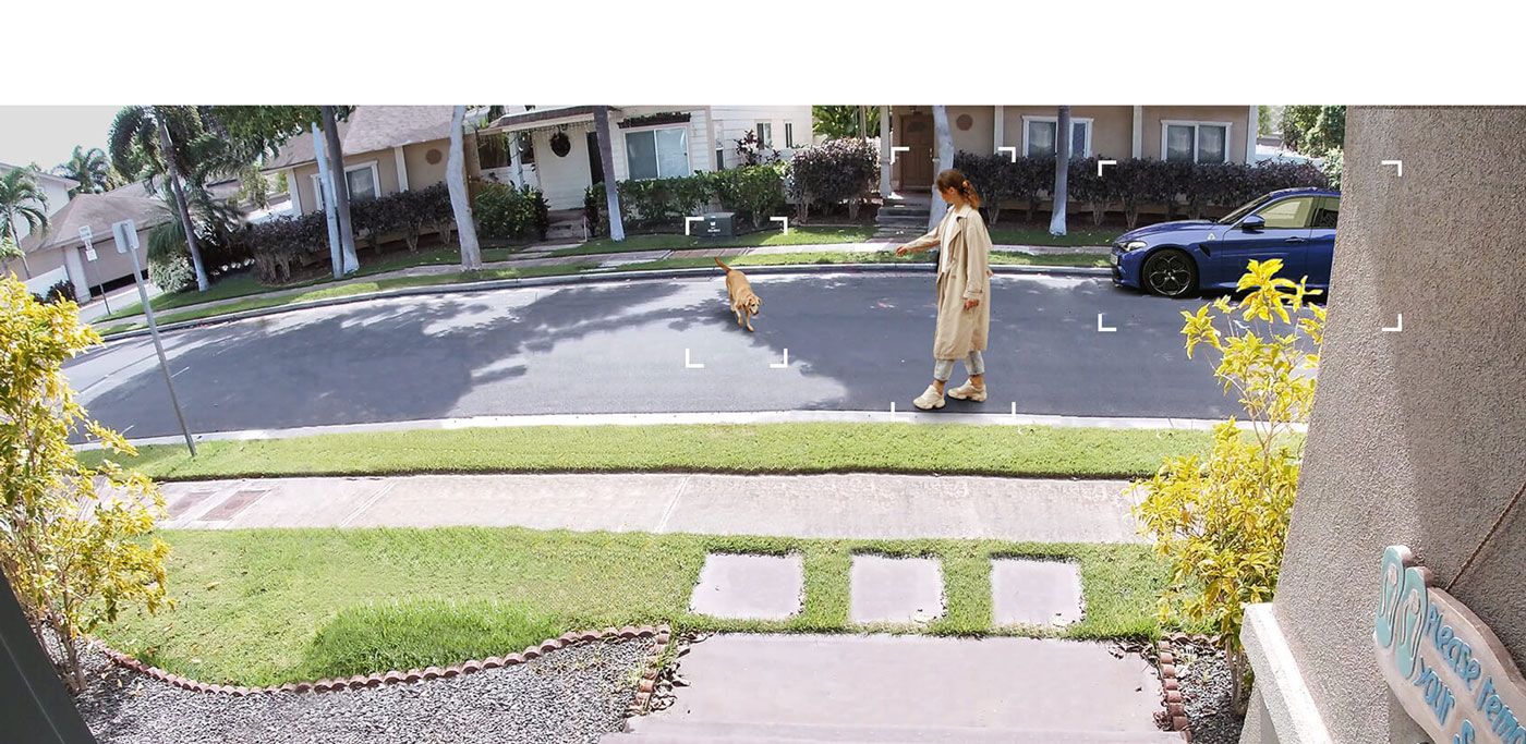 Tapo AI detection identifying a person, a pet and a vehicle in the camera view