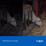 TP-LINK Tapo C320WS Outdoor Wi‑Fi Camera — 4K‑class UHD, Night Vision - image 20