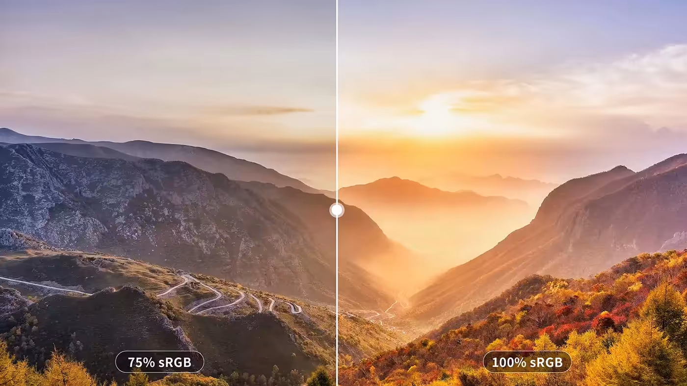 Display panel showing vivid 100% sRGB color accuracy for creative work
