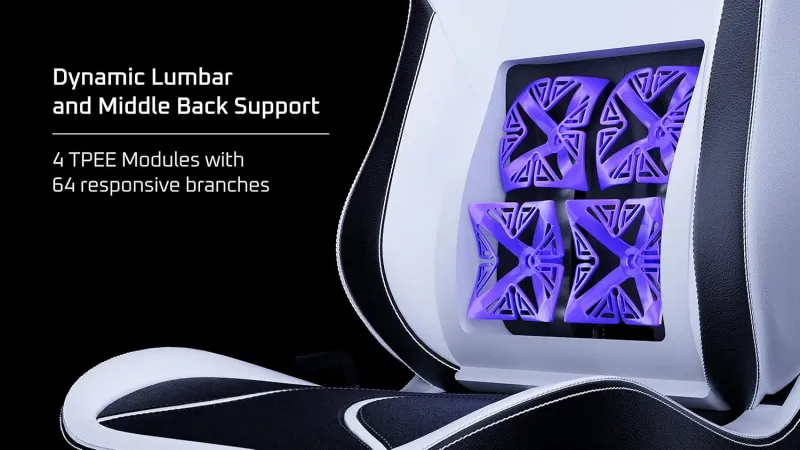 vertagear-pl6800-gaming-chair-black-white-1500px-v0008.webp vertagear-pl6800-gaming-chair-black-white-1500px-v0008.webp