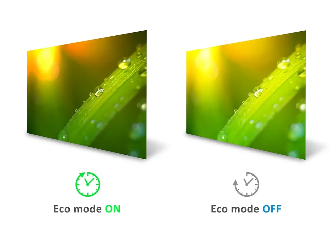 ViewSonic VA1903H-2 with its energy-saving Eco-mode setting selected