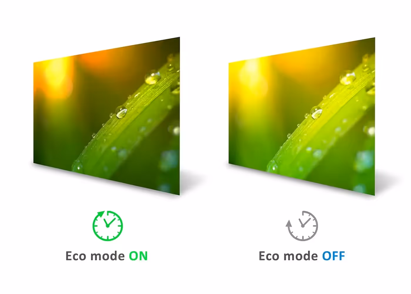 ViewSonic VA1903H-2 with its energy-saving Eco-mode setting selected