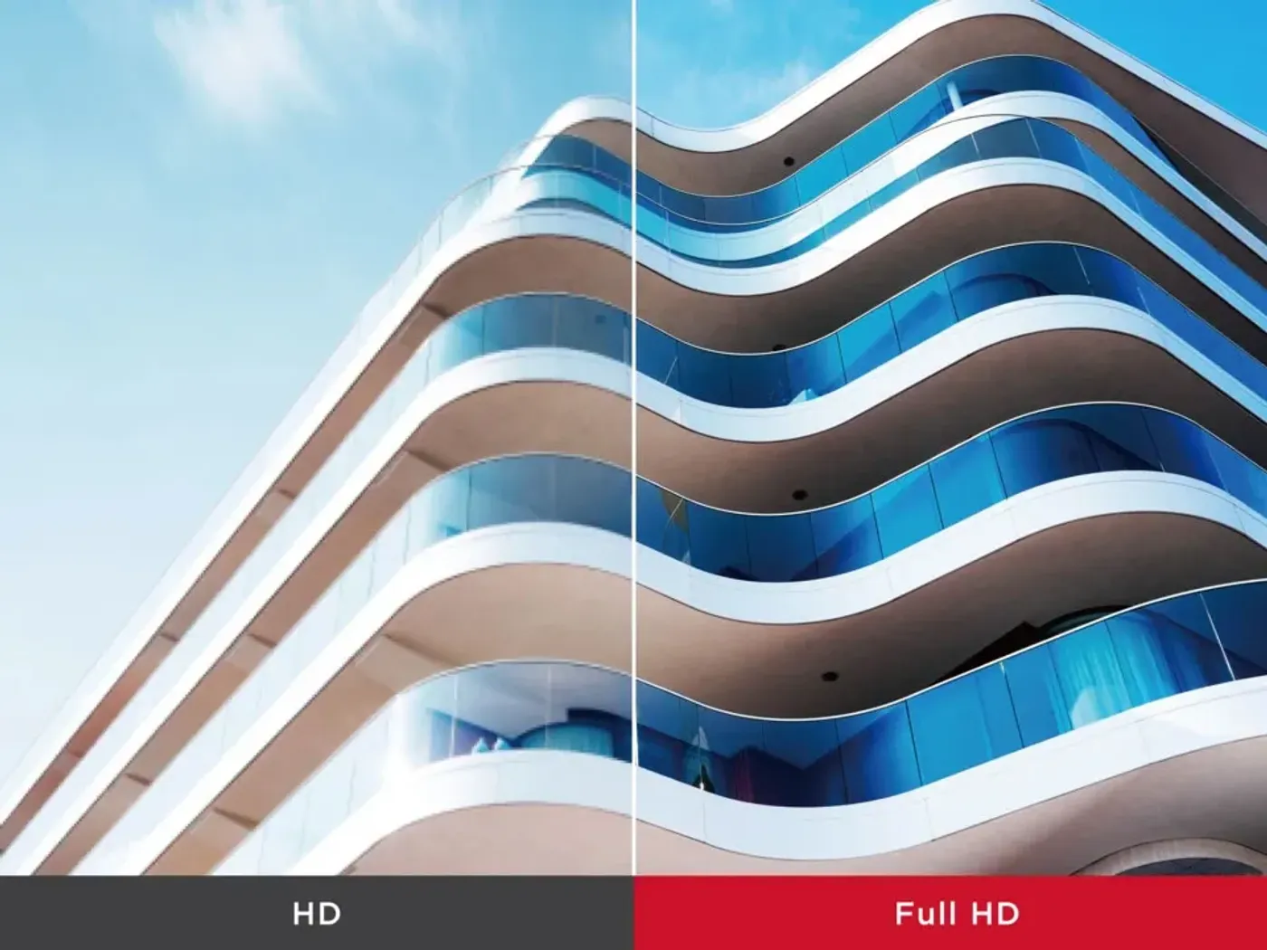 Full HD 1080p image detail displayed on the ViewSonic monitor panel