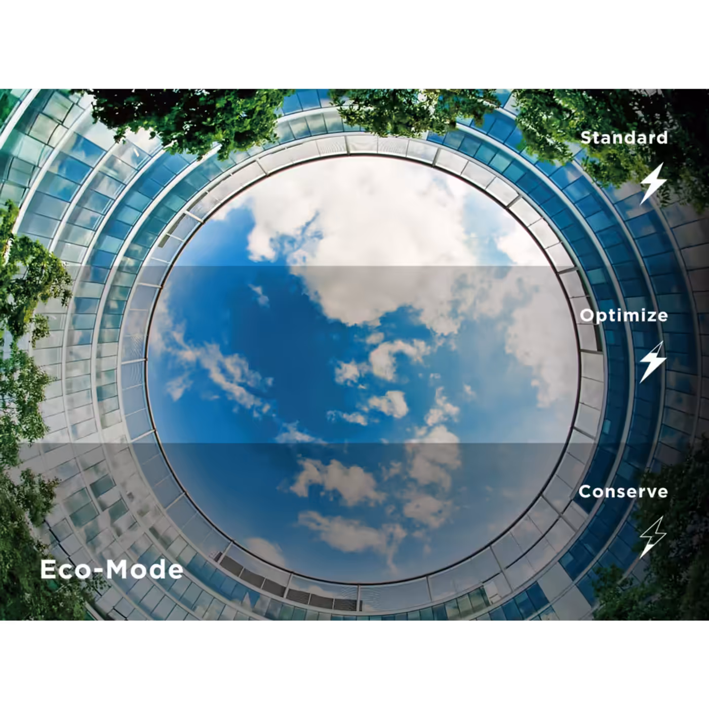 ViewSonic Eco Mode graphic showing Standard, Optimize and Conserve settings