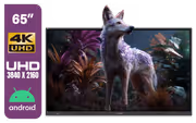 viewsonic-viewboard-65-4k-interactive-display-1600px-v1.avif