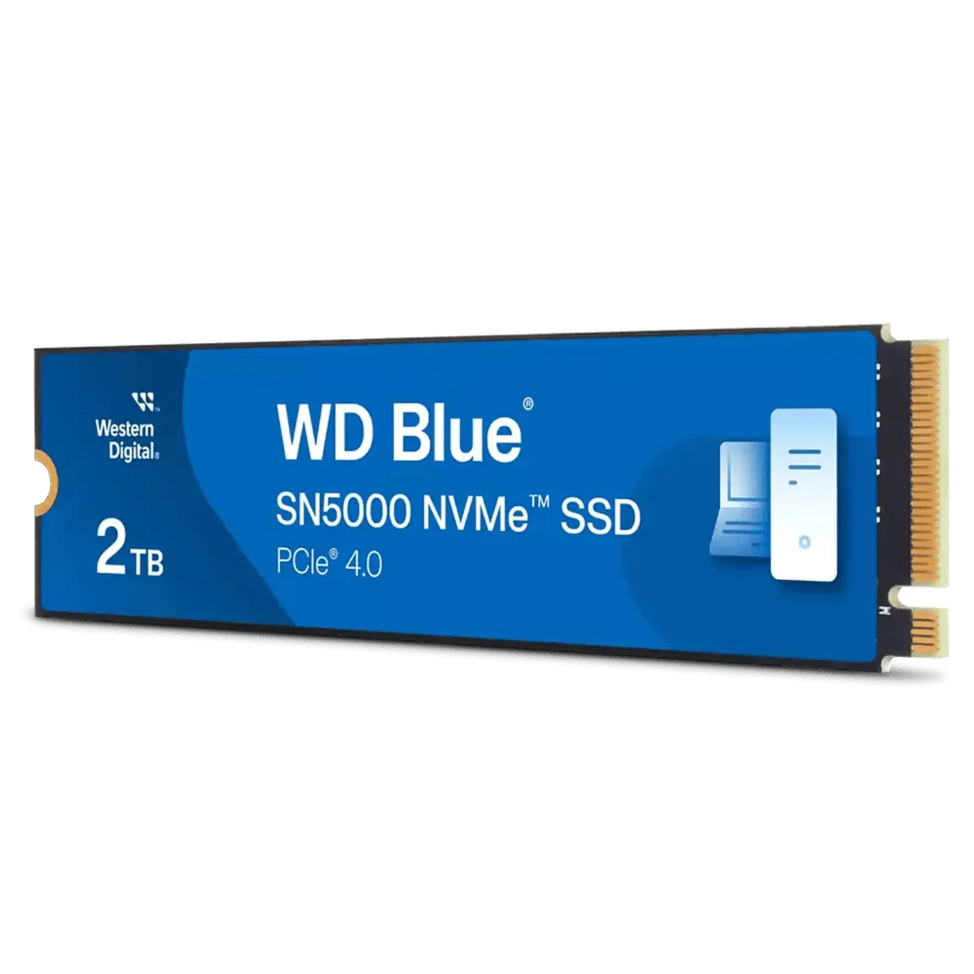 WD Blue SN5000 2TB NVMe SSD shown to illustrate its endurance rating