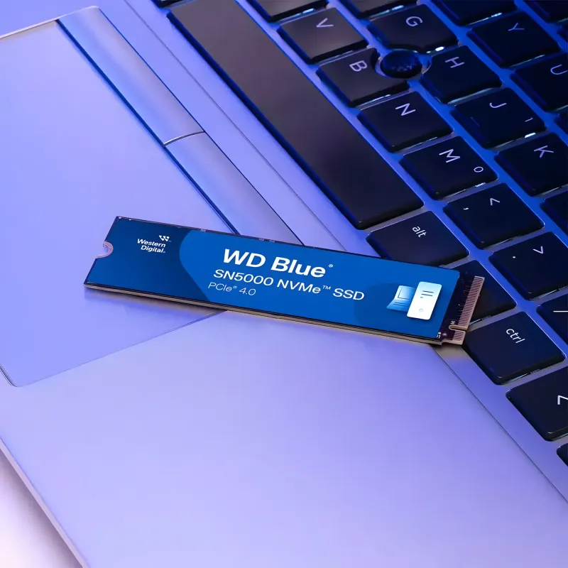 wd-blue-sn5000-4tb-m-2-nvme-ssd-gallery-2000px-v0004.webp wd-blue-sn5000-4tb-m-2-nvme-ssd-gallery-2000px-v0004.webp