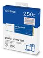 wd-blue-sn570-250gb-nvme-internal-ssd-1000px-v1-0001.jpg