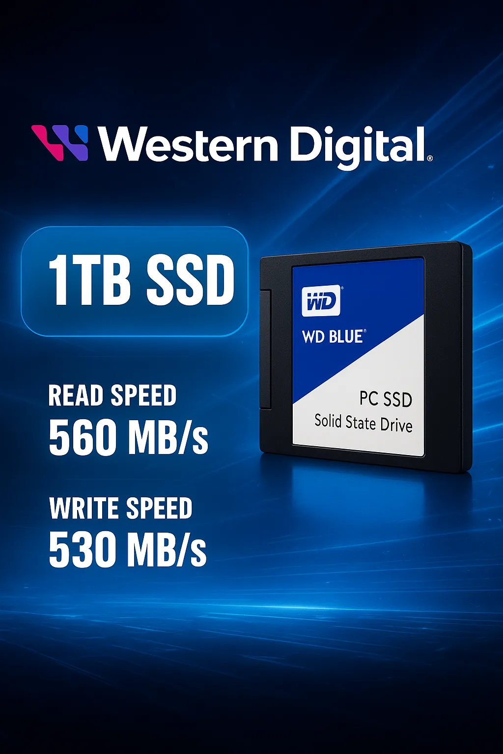 Western Digital Blue 1TB 2.5