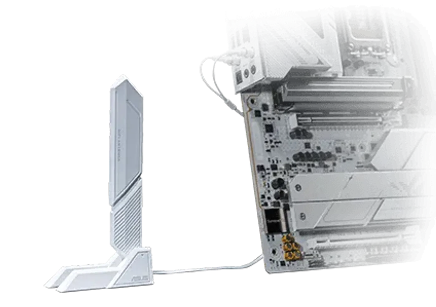 ASUS WiFi Q-Antenna