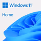 Windows 11