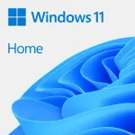 Windows 11