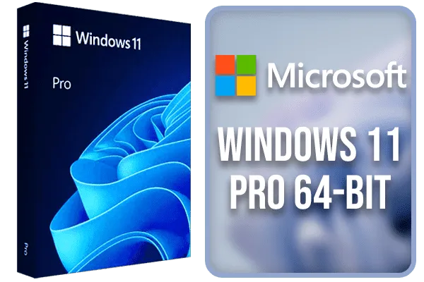 Microsoft Windows 11 Pro 64-bit