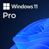 Windows 11 Pro