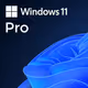 Windows 11 Pro