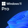 Windows 11 Pro