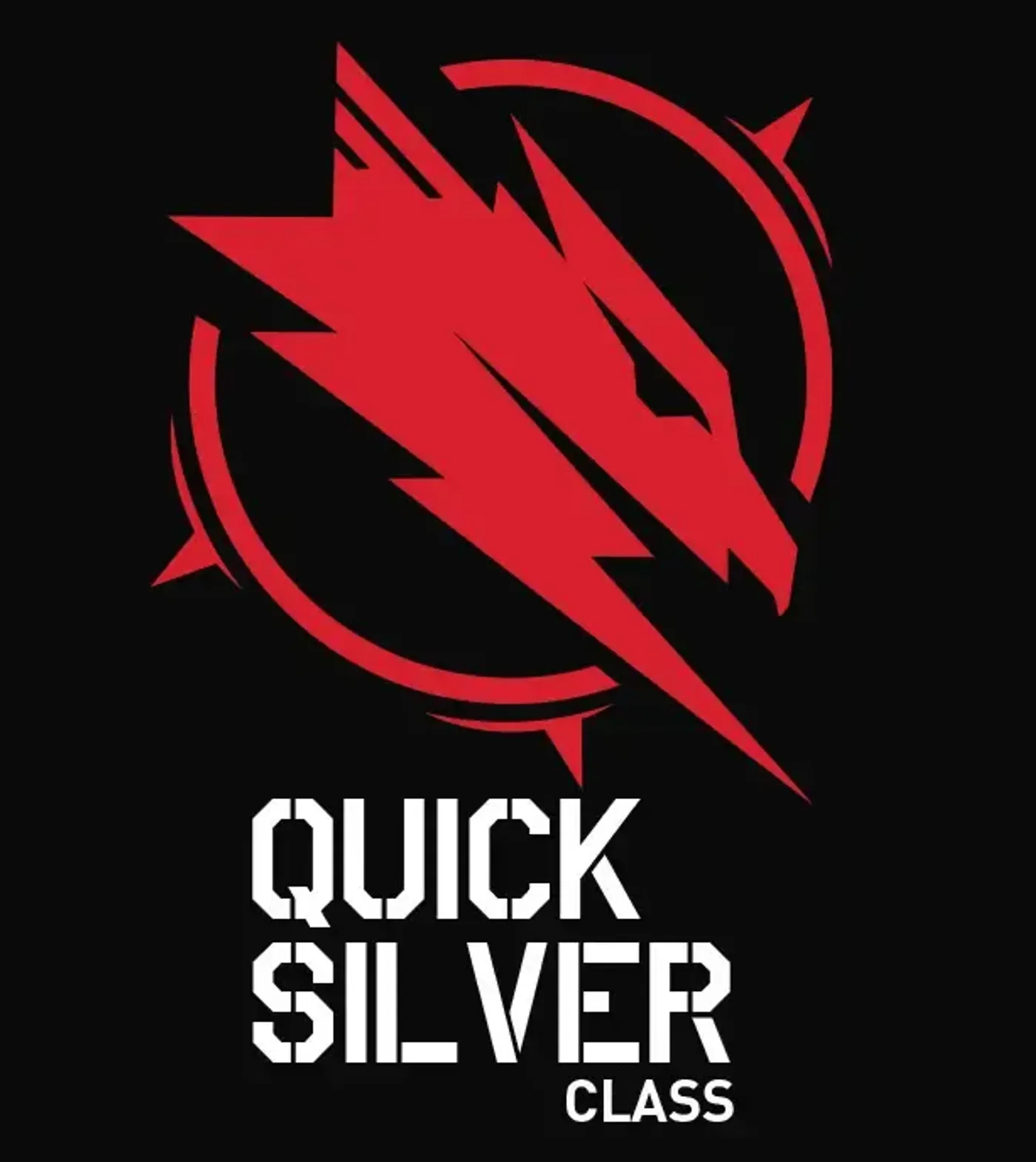 XFX Quicksilver Radeon RX 9070 XT gaming graphics card showcasing high performance hardware