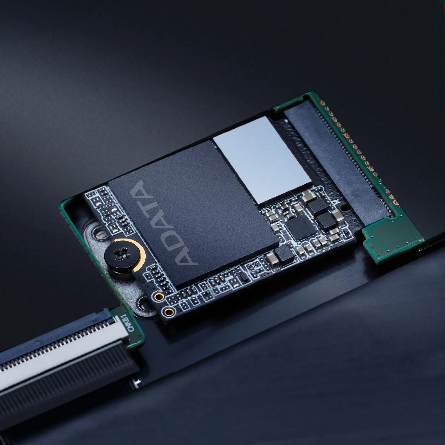 adata-xpg-gammix-s55-2tb-m-2-ssd-1500px-v0002.webp