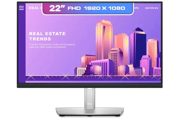 dell-p2222h-full-hd-monitor-600px-v1-01.webp