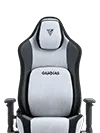 Gamdias Gaming Chairs