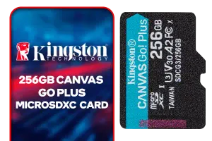 Kingston 256GB microSDXC Canvas Go Plus Memory Card