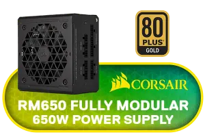 Corsair RM650 650 Watt ATX Power Supply