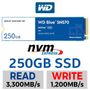 wd-blue-sn570-250gb-nvme-internal-ssd-300px-v1.jpg
