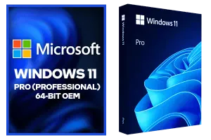 Windows 11 Pro 64 bit oem