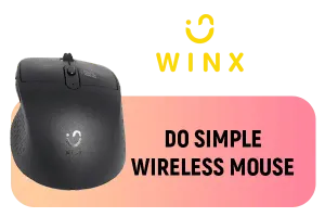 WINX DO Simple Wireless Mouse