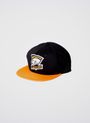 virtus-pro-cap-2017-1000px-v1-0001.jpg