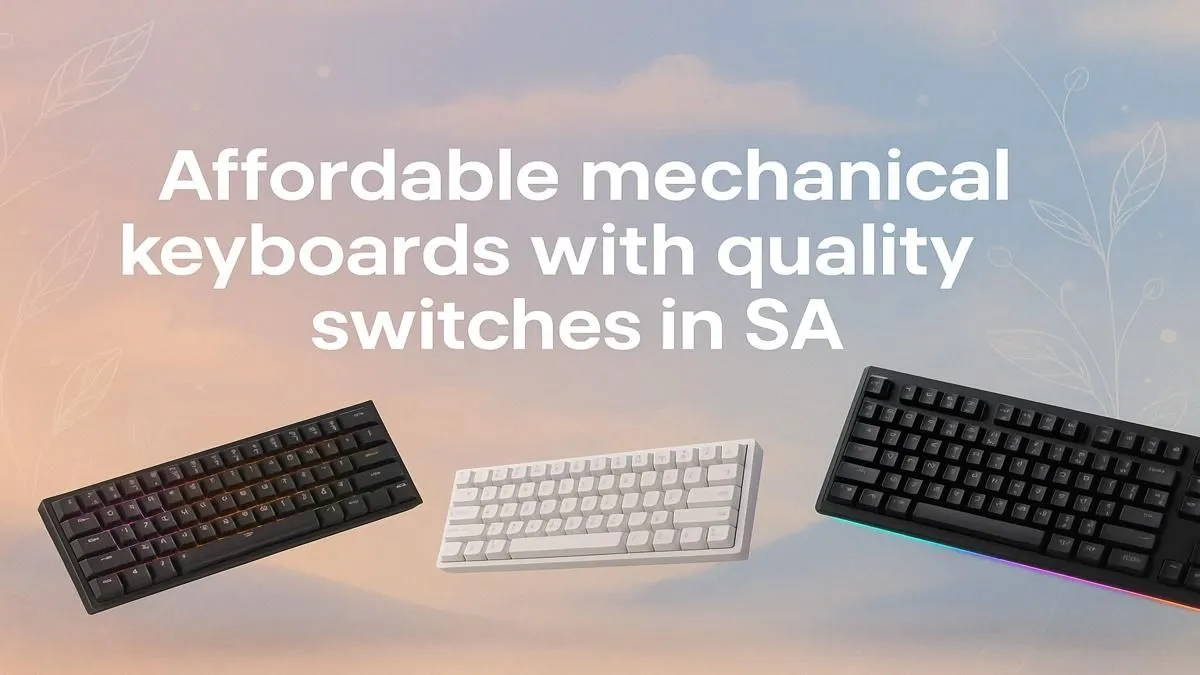 Evetech's Best Budget Picks