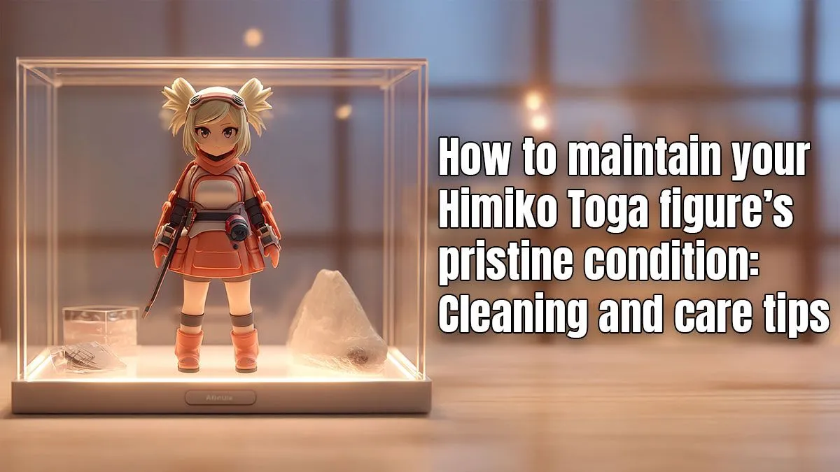 Your Figure Care Guide