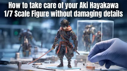 Clean Aki Hayakawa Figure Safely