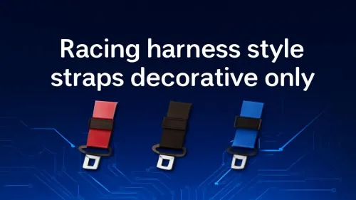 Decorative Racing Harness Straps