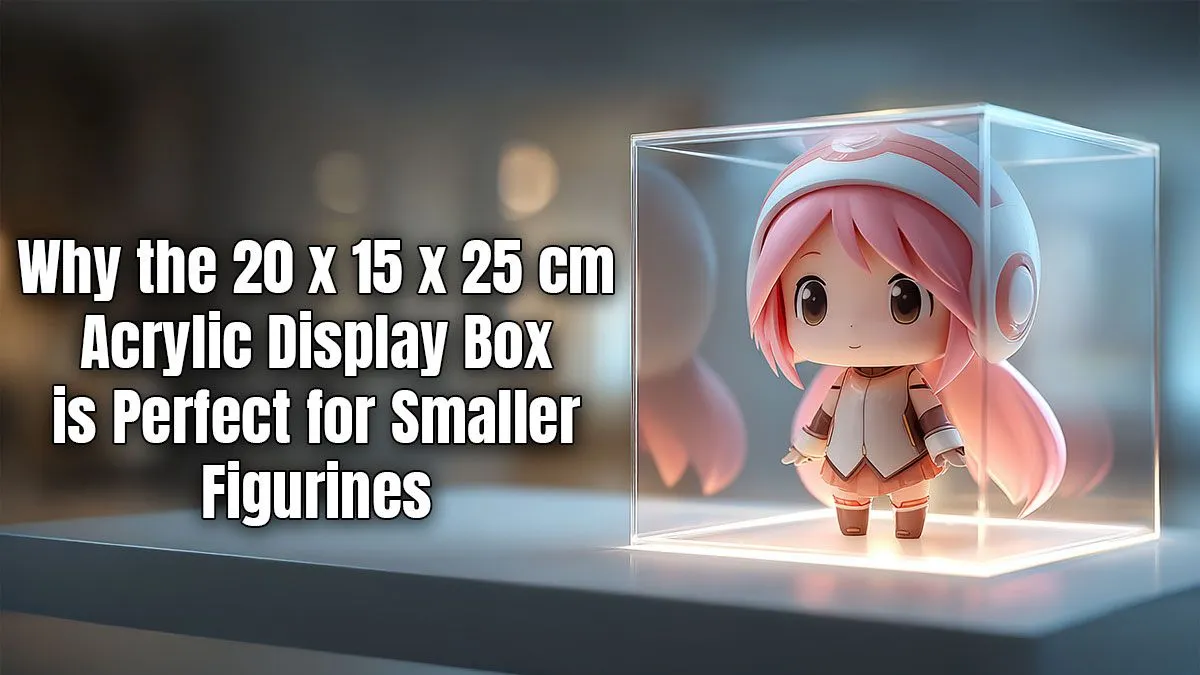 Protect & Display Your Collection