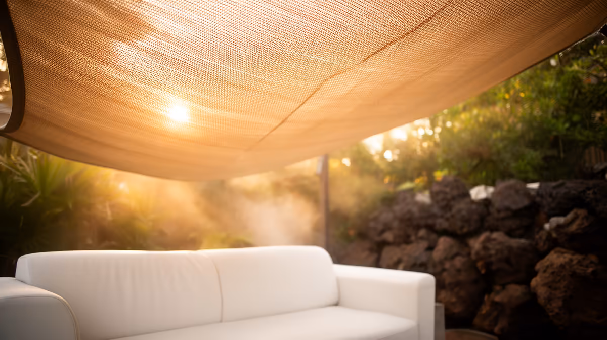 Top-Rated Mesh Solutions