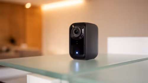 Common an indoor pet camera problems SA buyers hit, and how to fix them
