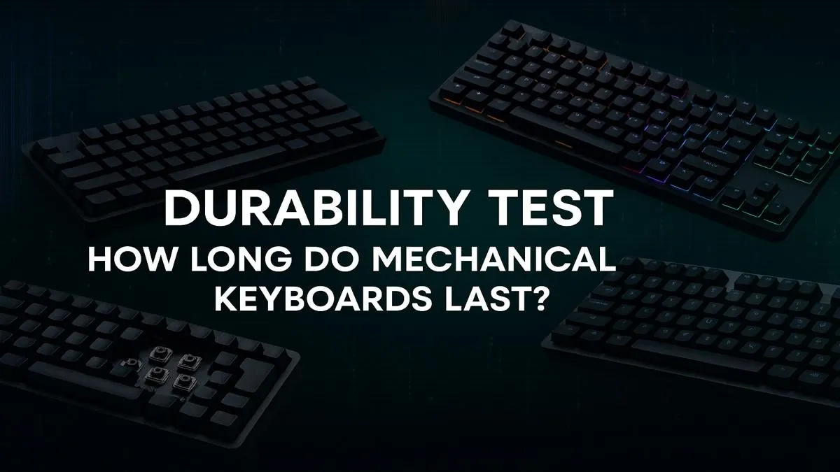Mechanical Keyboard Lifespan