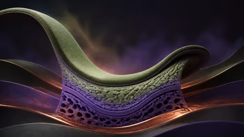 Getting the Most from Cold-Cured Molded Foam Chair Cushioning