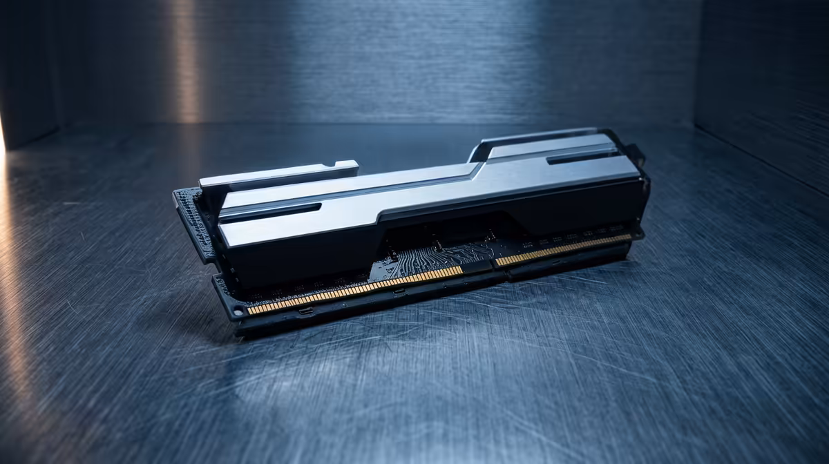 DDR5 RAM lifespan checks for SA